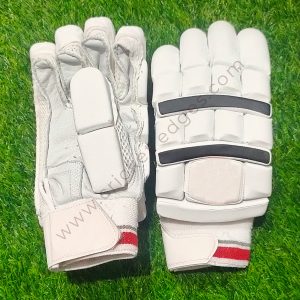 Cricket Batting Gloves